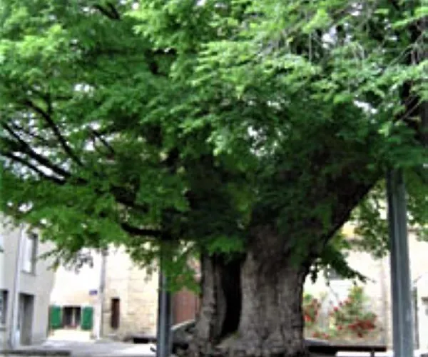 Des Lices Апартаменты